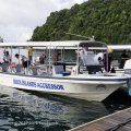 Pick up from Palau Royal Resort dock